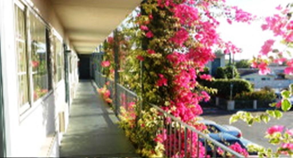 Antioch Executive Inn Exterior foto